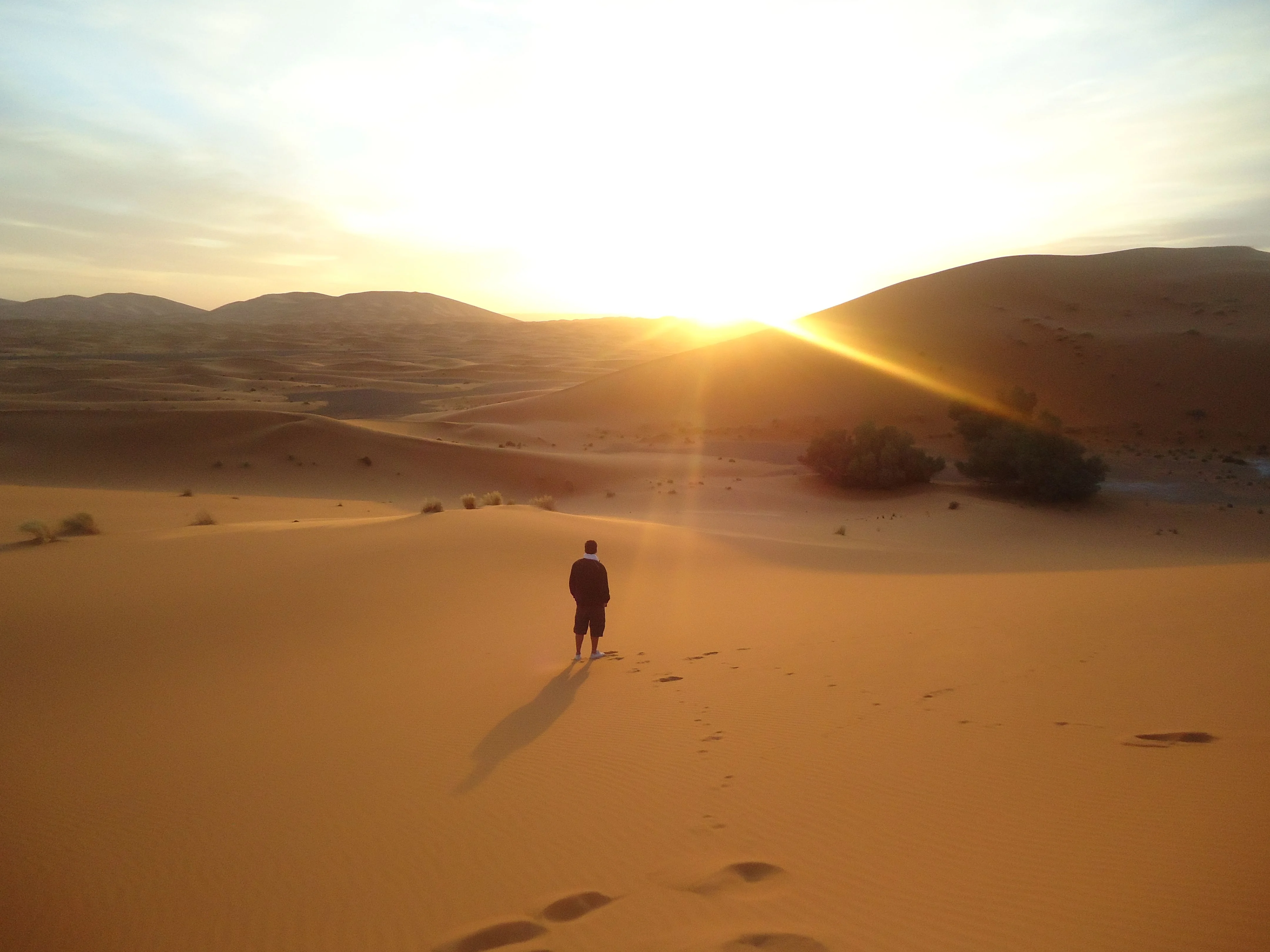 Sunrise over desert dunes with a guest standing in the sand during an early morning safari.