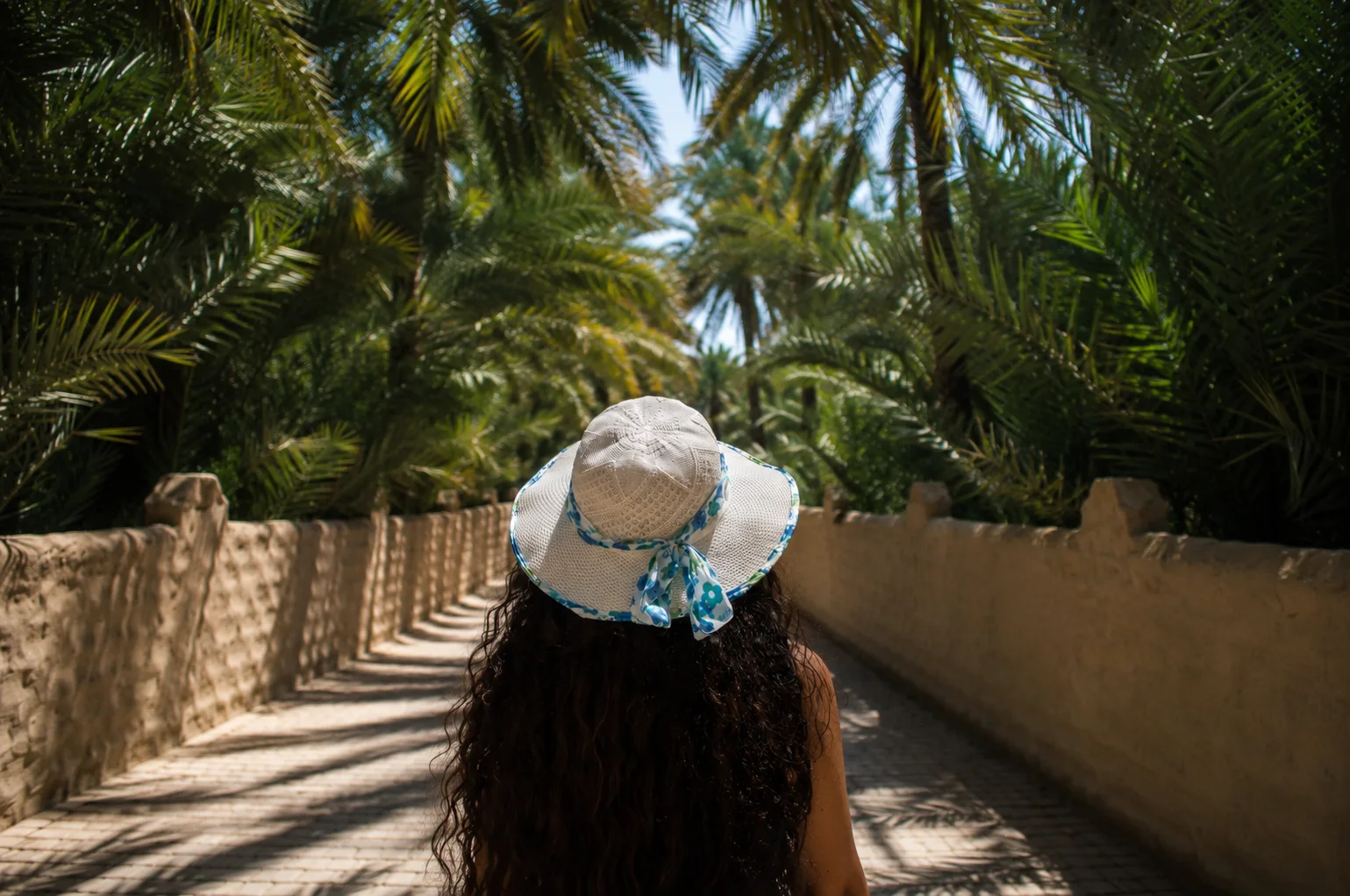 A visitor walking along a palm-lined path in Al Ain Oasis